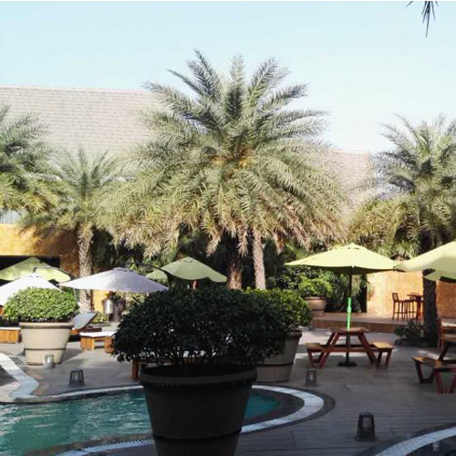 500㎡酒店健身房配置方案