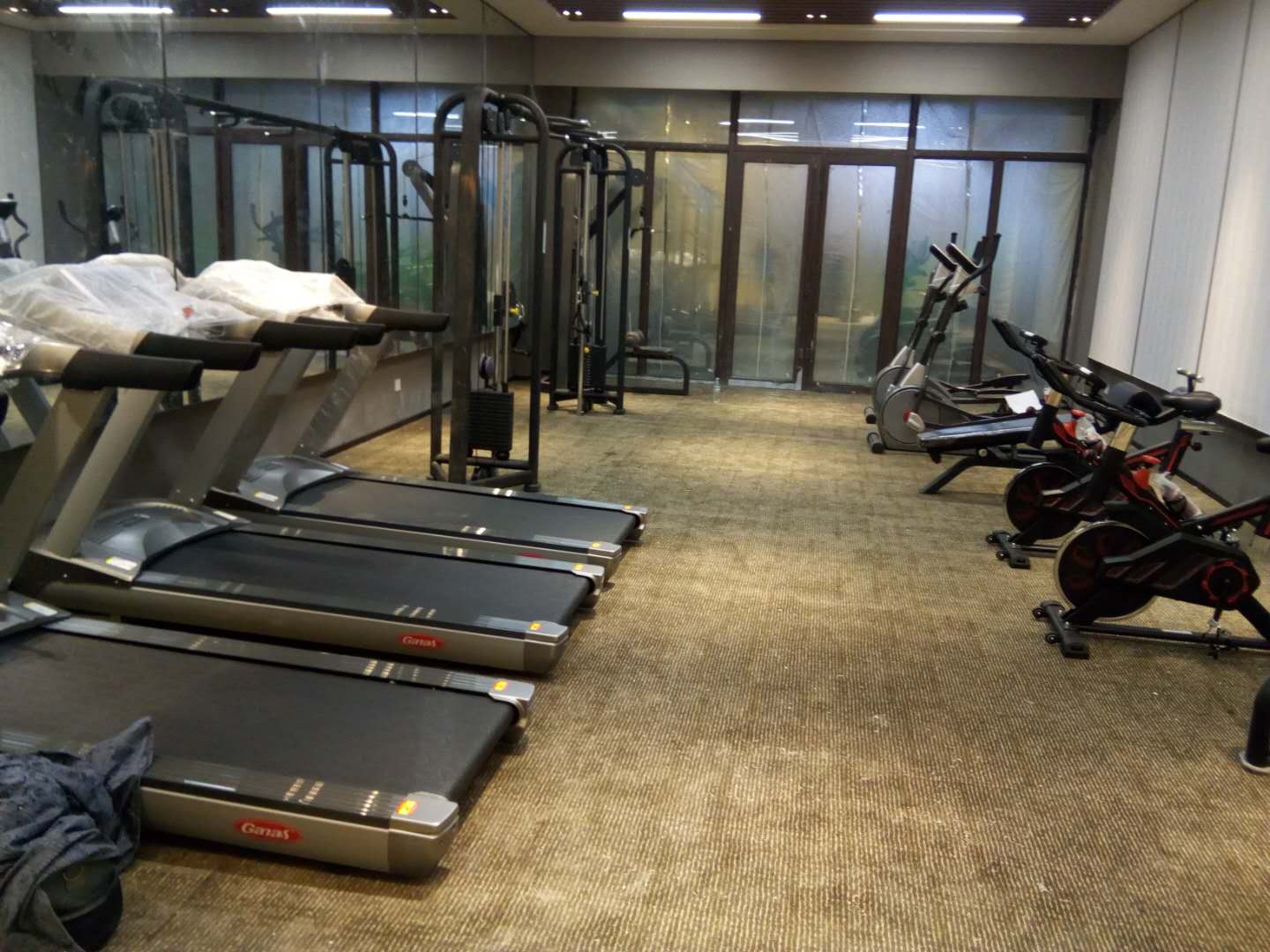 山東德州慶雲碧桂園健身房案例 泡芙视频免费观看网健身器材製造商