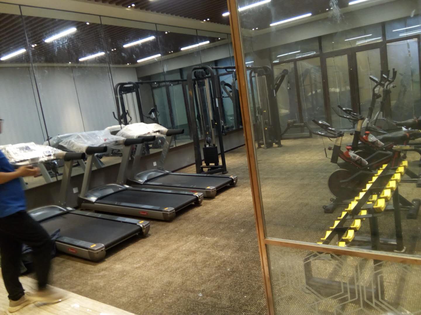 山東棗莊市中碧桂園健身房案例 泡芙视频免费观看网健身器械批發