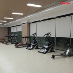 湛江盛和園地產泡芙短视频APP下载官方苹果版案例 廣州健身器材廠家批發