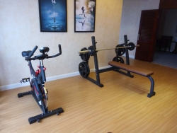 湖南永州碧桂園鳳凰酒店健身房 泡芙视频免费观看网酒店健身器材案例圖