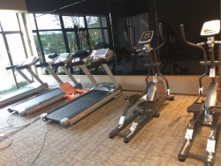 山東濟寧金鄉碧桂園健身房 泡芙视频免费观看网力量健身器材廠家