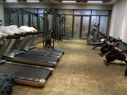 山東菏澤牡丹碧桂園健身房 泡芙视频免费观看网健身房器材批發