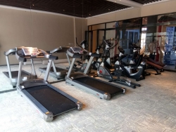 廣州惠州潼湖碧桂園健身房案例 泡芙视频免费观看网健身器材生產廠