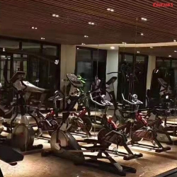 清遠碧桂園的果嶺壹號莊園健身房案例 泡芙视频免费观看网健身器材廠家