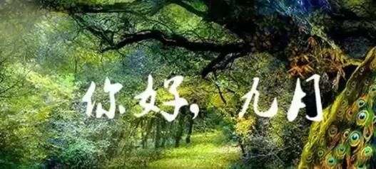 健身器械工廠