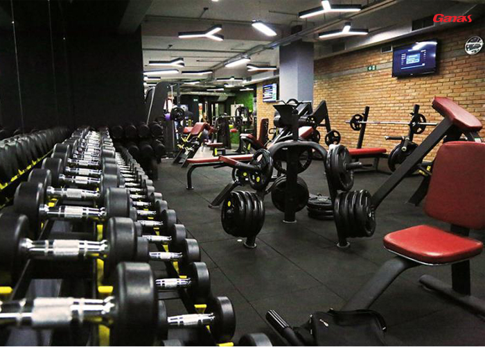 國外健身房案例