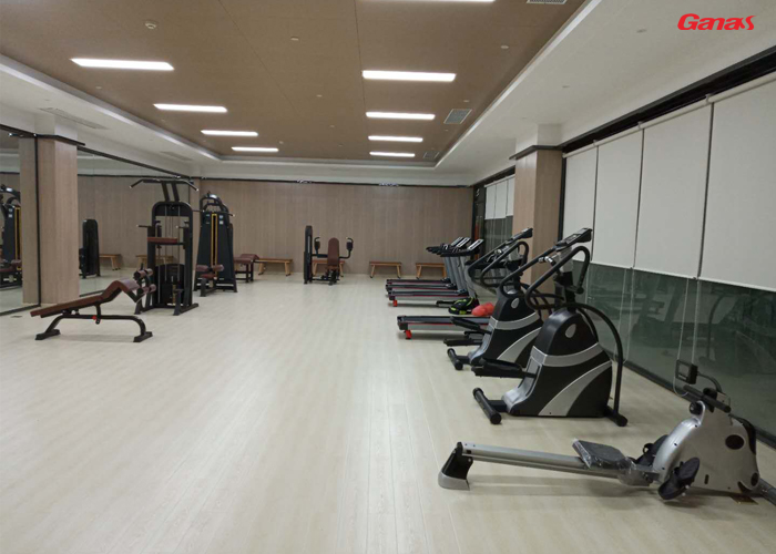 健身器材 健身器材