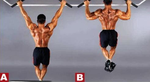 背部肌肉練習的常見問題與留意事項 背部肌肉練習的常見問題與留意事項