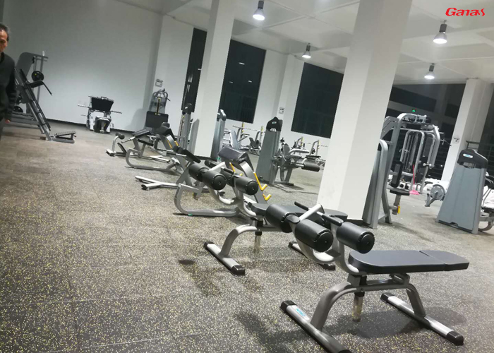 中山市實驗中學健身房案例 采購學校健身器械就找廣州泡芙视频免费观看网 中山市實驗中學健身房案例 采購學校健身器械就找廣州泡芙视频免费观看网