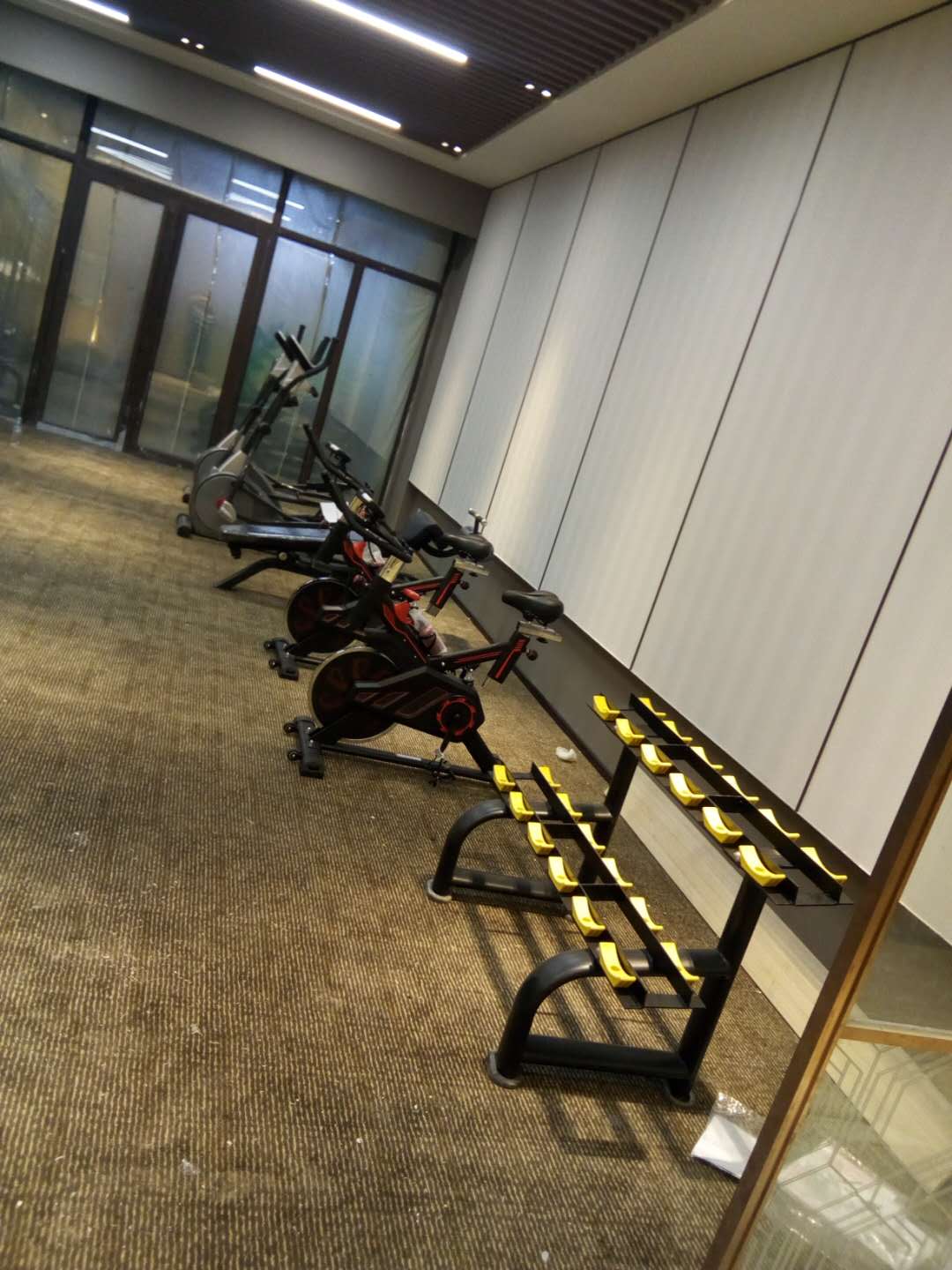 山東棗莊市中碧桂園健身房案例 泡芙视频免费观看网健身器械批發