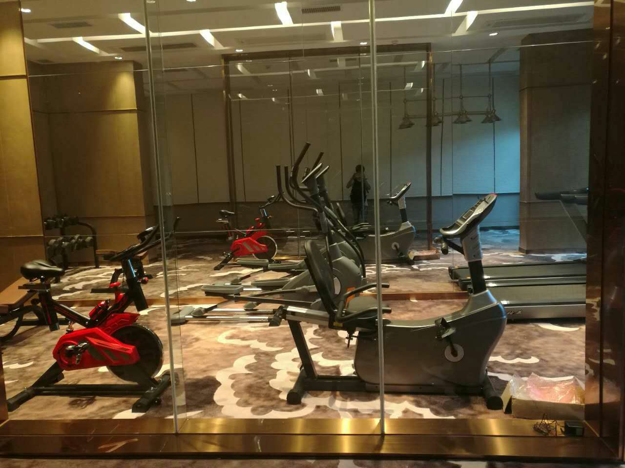 山東東平碧桂園健身房 廣州泡芙视频免费观看网健身器材廠案例展示