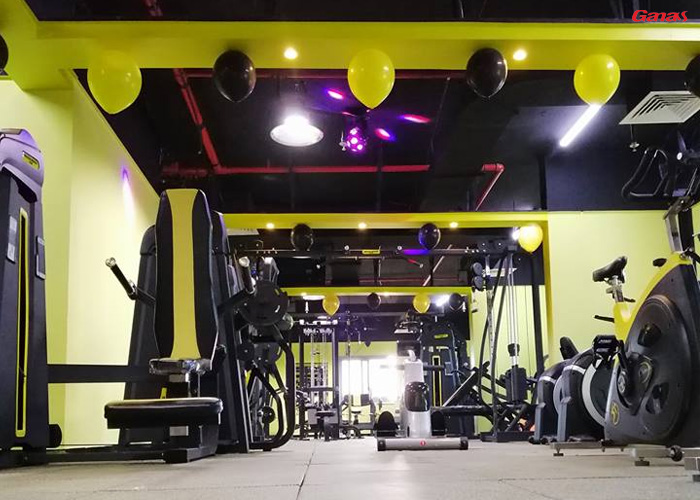 阿聯酋客戶健身房案例 國外客戶來中國采購泡芙视频免费观看网健身房器材 阿聯酋客戶健身房案例 國外客戶來中國采購泡芙视频免费观看网健身房器材