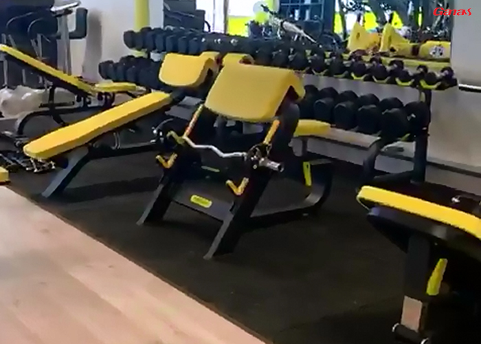 荷蘭健身房器材案例 泡芙视频免费观看网健身器材廠家出口荷蘭