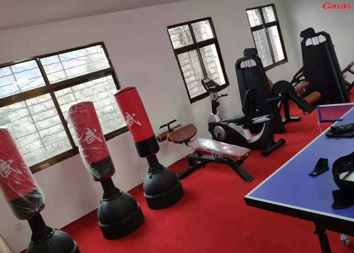 西藏林芝地區米林縣丹娘鄉泡芙短视频污黄APP网站下载健身房案例