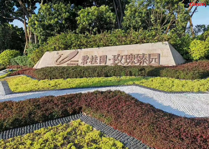 碧桂園玫瑰臻園健身房案例