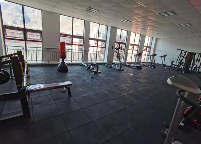 西藏自治區拉薩市城西區盛域濱江單位健身房