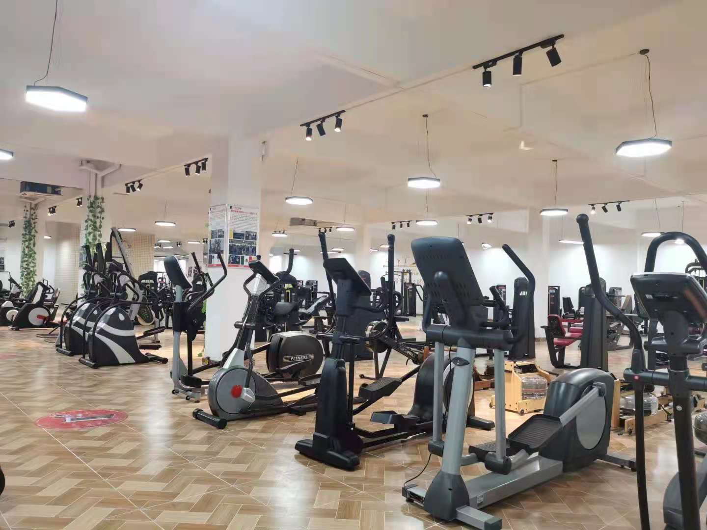 泡芙视频免费观看网健身器材展廳