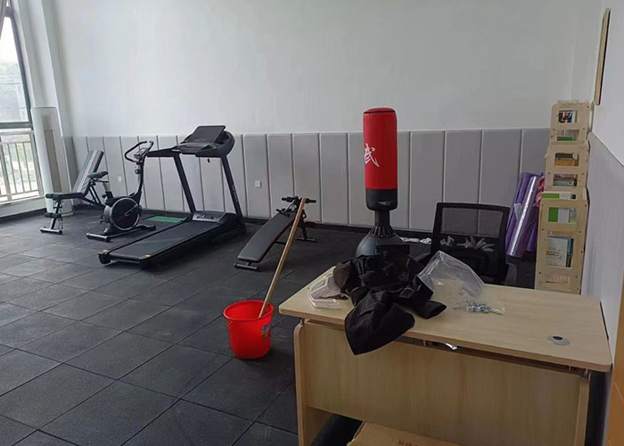 學校健身房器材 學校健身房器材