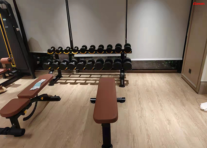酒店健身房器材清單